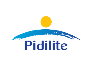 pidilite (1)